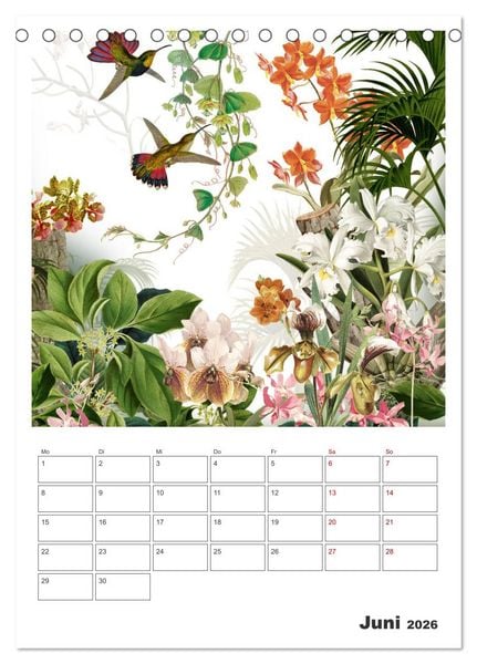 Produktbild: Das Paradies der Kolibris (Tischkalender 2026 DIN A5 hoch), CALVENDO Monatskalender