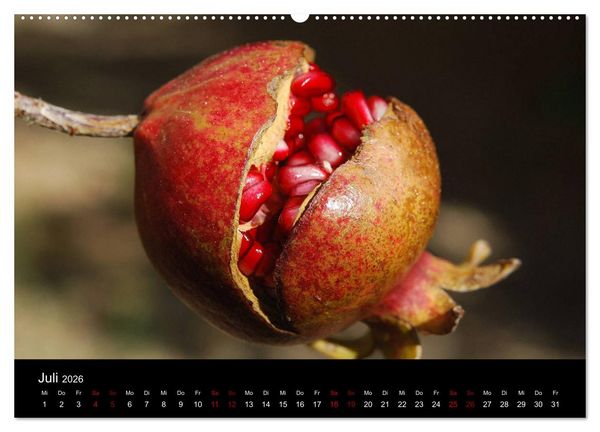 Produktbild: Erfrischend fruchtig (Wandkalender 2026 DIN A2 quer), CALVENDO Monatskalender