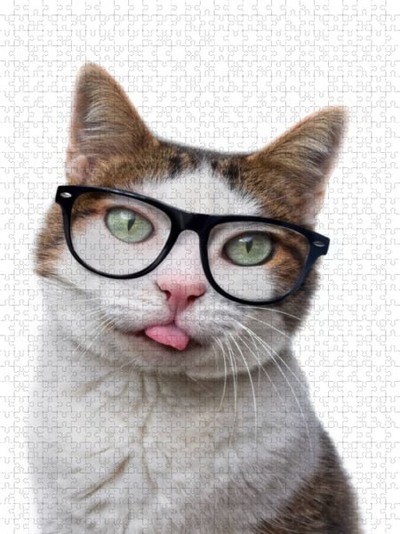 Produktbild: CALVENDO Puzzle Ein Motiv aus dem Kalender Crazy Catz. | 1000 Teile Lege-Gr&ouml;&szlig;e 64x48cm Foto-Puzzle f&uuml;r gl&uuml;ckliche Stunden