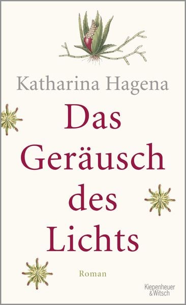 Das Geräusch des Lichts, Gebundene Ausgabe von Katharina Hagena, Kiepenheuer & Witsch