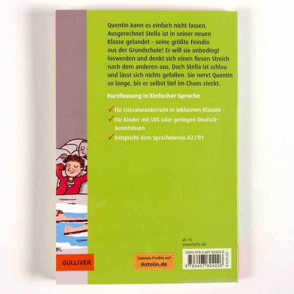 Produktbild: Kurzfassung in Einfacher Sprache. Master of Disaster