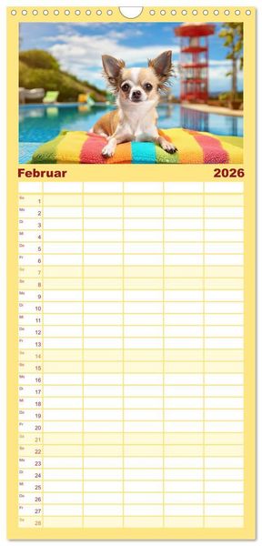 Produktbild: Familienplaner 2026 - Chillige Chihuahuas - Entspannte Fellnasen genie&szlig;en das Leben mit 5 Spalten (Wandkalender, 21 x 45 cm) CALVENDO