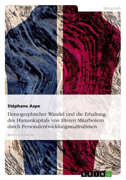 Demographischer Wandel und die Erhaltung des Humankapitals von älteren Mitarbeitern durch Personalentwicklungsmaßnahmen, Taschenbuch von Stéphane