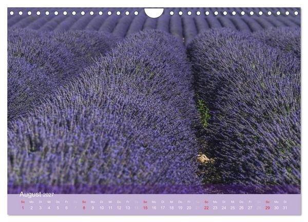 Produktbild: Die Farbe des Lavendels (Wandkalender 2027 DIN A4 quer), CALVENDO Monatskalender