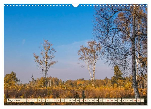 Produktbild: Herbst im Schwenninger Moos (Wandkalender 2026 DIN A3 quer), CALVENDO Monatskalender