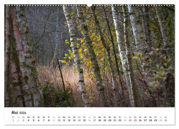 Produktbild: Unterwegs im Teufelsmoor (hochwertiger Premium Wandkalender 2026 DIN A2 quer), Kunstdruck in Hochglanz