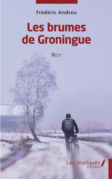 Produktbild: Les brumes de Groningue