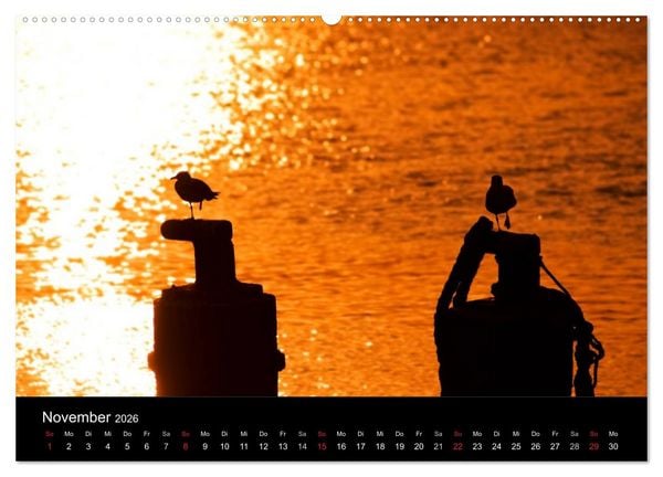 Produktbild: D&auml;nemarks Nordseek&uuml;ste (Wandkalender 2026 DIN A2 quer), CALVENDO Monatskalender