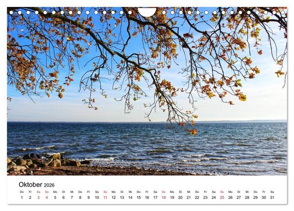 Produktbild: Strande und B&uuml;lk 2026 (Wandkalender 2026 DIN A4 quer), CALVENDO Monatskalender