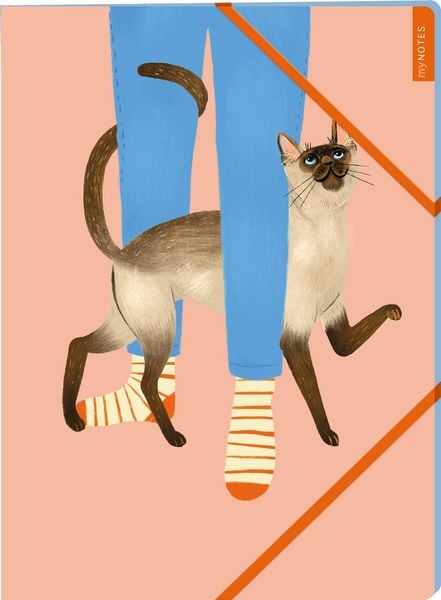 MyNOTES Papeterie: Sammelmappe Katzen regieren die Welt, von , arsedition