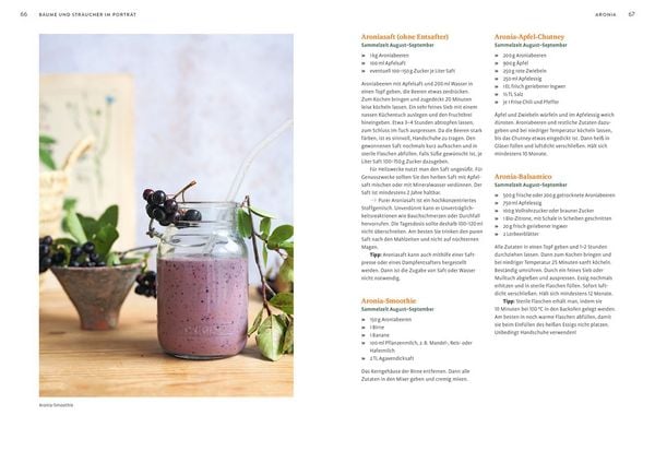 Produktbild: Essbare B&auml;ume und Str&auml;ucher