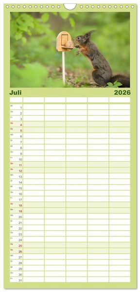 Produktbild: Familienplaner 2026 - Geheimes Waldleben mit 5 Spalten (Wandkalender, 21 x 45 cm) CALVENDO