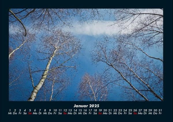 Produktbild: B&auml;ume 2025 Fotokalender DIN A4