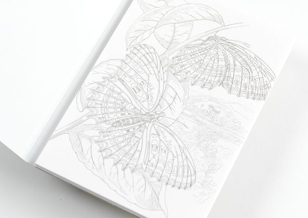 Produktbild: Natural History