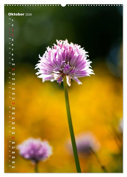 Produktbild: Colors of Nature (Wandkalender 2026 DIN A2 hoch), CALVENDO Monatskalender