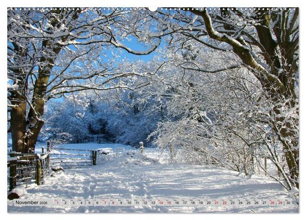 Produktbild: Snow Scenes (High Quality Premium Wall Calendar 2026 DIN A2 landscape),CALVENDO 12 Month Wall Calendar