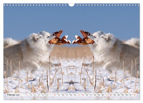 Produktbild: Mit doppelter Power durch das Jahr (Wandkalender 2026 DIN A3 quer), CALVENDO Monatskalender