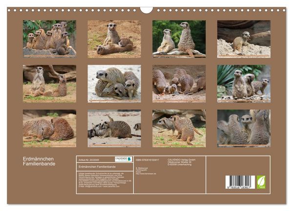 Produktbild: Erdm&auml;nnchen Familienbande (Wandkalender 2026 DIN A3 quer), CALVENDO Monatskalender