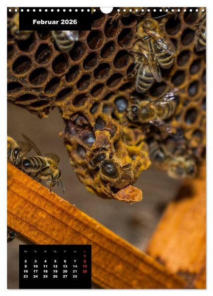 Produktbild: Bienen in ihrem geheimen Reich (Wandkalender 2026 DIN A3 hoch), CALVENDO Monatskalender