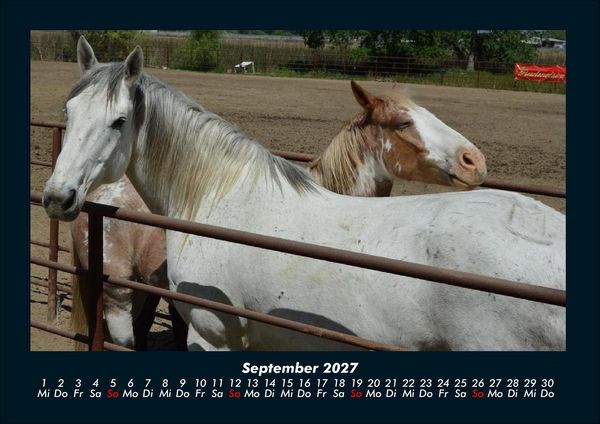 Produktbild: Pferdegefl&uuml;ster 2027 Fotokalender DIN A4