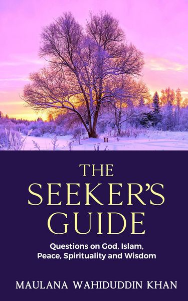 Produktbild: The Seeker's Guide (1)
