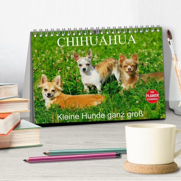 Produktbild: Chihuahua - Kleine Hunde ganz gro&szlig; (Tischkalender 2026 DIN A5 quer), CALVENDO Monatskalender