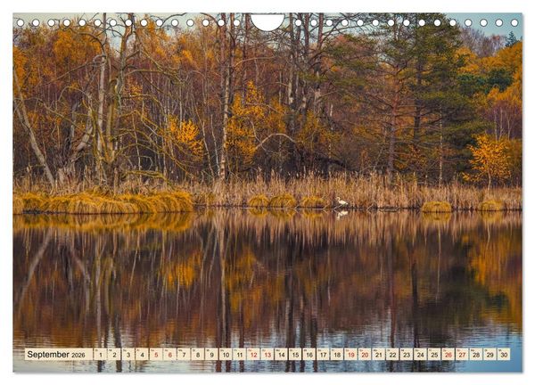 Produktbild: Herbst im Schwenninger Moos (Wandkalender 2026 DIN A4 quer), CALVENDO Monatskalender