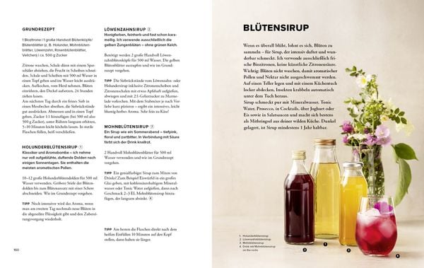 Produktbild: Wildkr&auml;uter Top 10