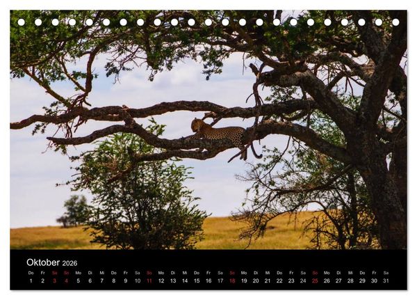 Produktbild: Wildes Afrika (Tischkalender 2026 DIN A5 quer), CALVENDO Monatskalender