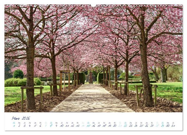 Produktbild: Traumsch&ouml;ner Taunus (hochwertiger Premium Wandkalender 2026 DIN A2 quer), Kunstdruck in Hochglanz