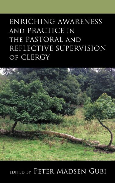 Produktbild: Enriching Awareness and Practice in the Pastoral and Reflective Supervision of Clergy