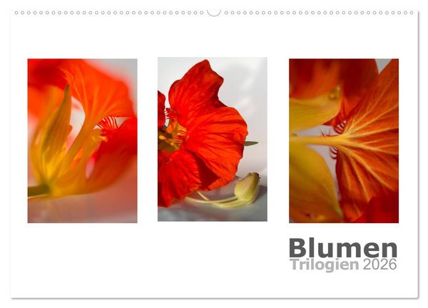 Blumen Trilogien (Wandkalender 2026 DIN A2 quer), CALVENDO Monatskalender