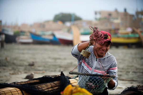Produktbild: Ceviche, mein Lieblingsessen aus Peru - Cinespaniol 6 (OmU)