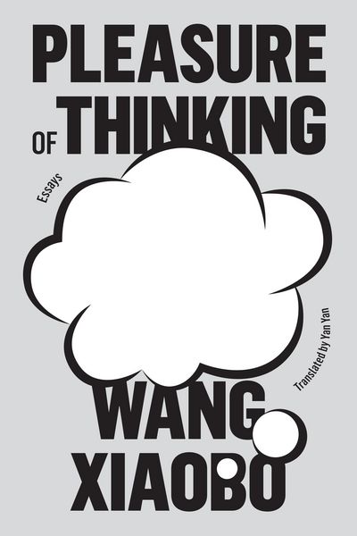 Produktbild: Pleasure of Thinking
