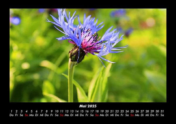 Produktbild: Blick in die Natur 2025 Fotokalender DIN A3