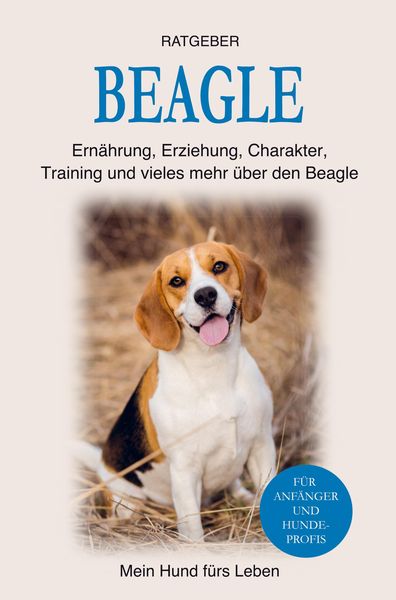 Produktbild: Beagle