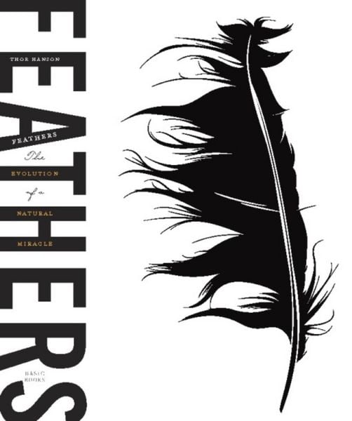 Produktbild: Feathers