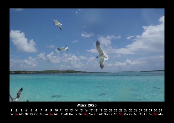 Produktbild: Vogelparadies 2025 Fotokalender DIN A3