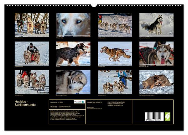 Produktbild: Huskies - Schlittenhunde (hochwertiger Premium Wandkalender 2026 DIN A2 quer), Kunstdruck in Hochglanz