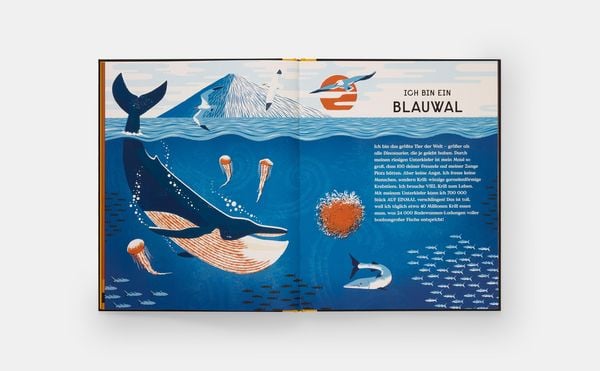 Produktbild: Das Buch der Knochen