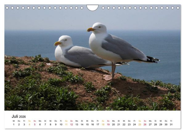 Produktbild: Helgoland Kalender (Wandkalender 2026 DIN A4 quer), CALVENDO Monatskalender