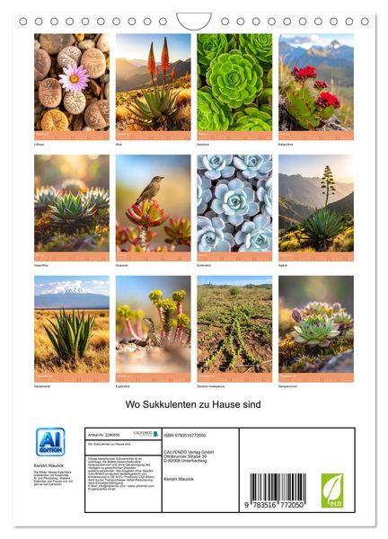 Produktbild: Wo Sukkulenten zu Hause sind (Wandkalender 2027 DIN A4 hoch), CALVENDO Monatskalender