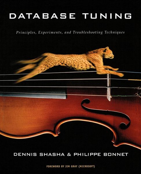 Produktbild: Database Tuning