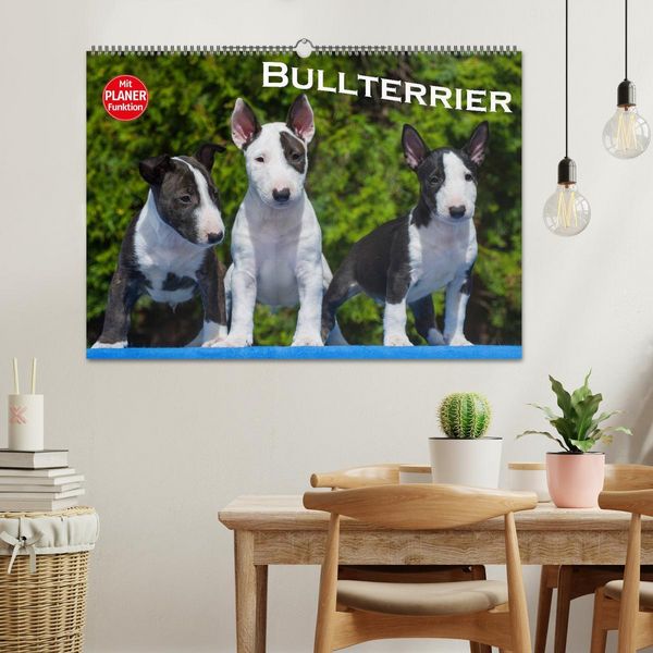 Produktbild: Bullterrier (Wandkalender 2026 DIN A2 quer), CALVENDO Monatskalender
