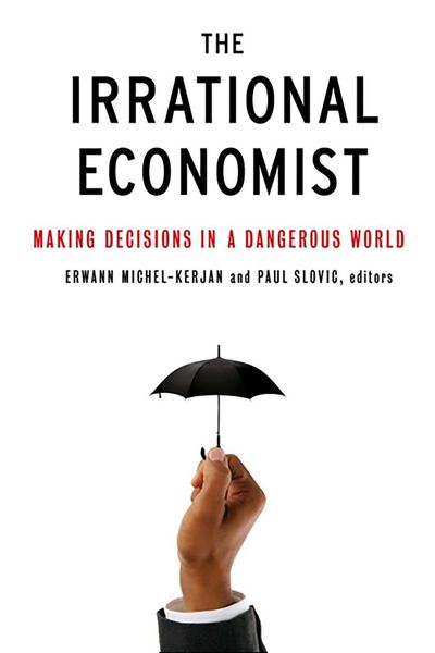 Produktbild: The Irrational Economist