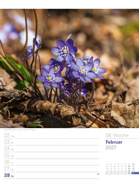 Produktbild: Unser Wald Wochenplaner Kalender 2027