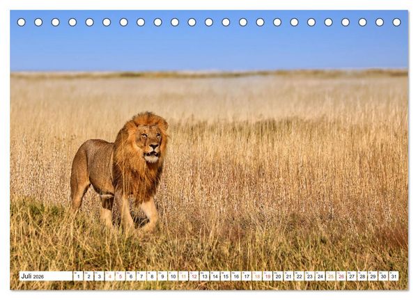Produktbild: AUF BEUTEZUG (Tischkalender 2026 DIN A5 quer), CALVENDO Monatskalender