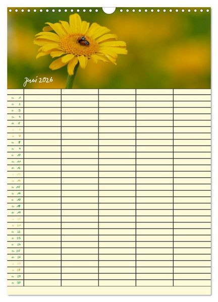 Produktbild: Kleine Natursch&ouml;nheiten (Wandkalender 2026 DIN A3 hoch), CALVENDO Monatskalender