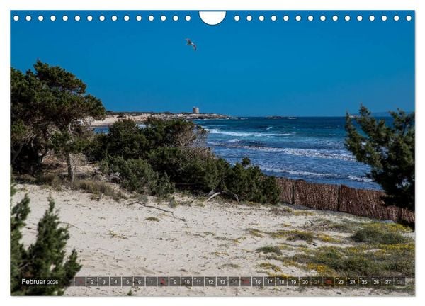 Produktbild: Ibiza K&uuml;ste, Buchten und Str&auml;nde (Wandkalender 2026 DIN A4 quer), CALVENDO Monatskalender