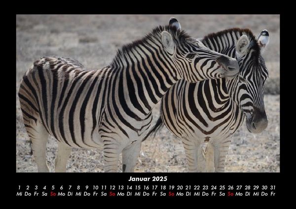 Produktbild: Zebrazauber 2025 Fotokalender DIN A3